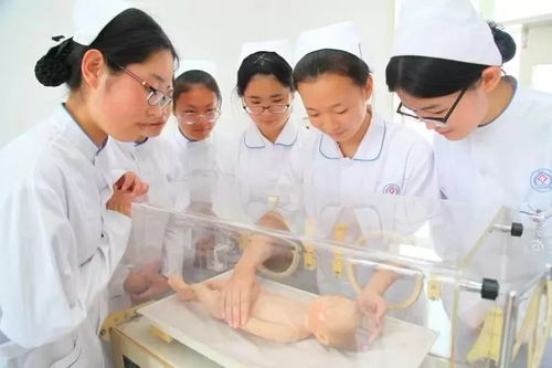 威海市衛(wèi)生學校 白衣天使的搖籃，中醫(yī)養(yǎng)生保健服務專業(yè)招生啟動